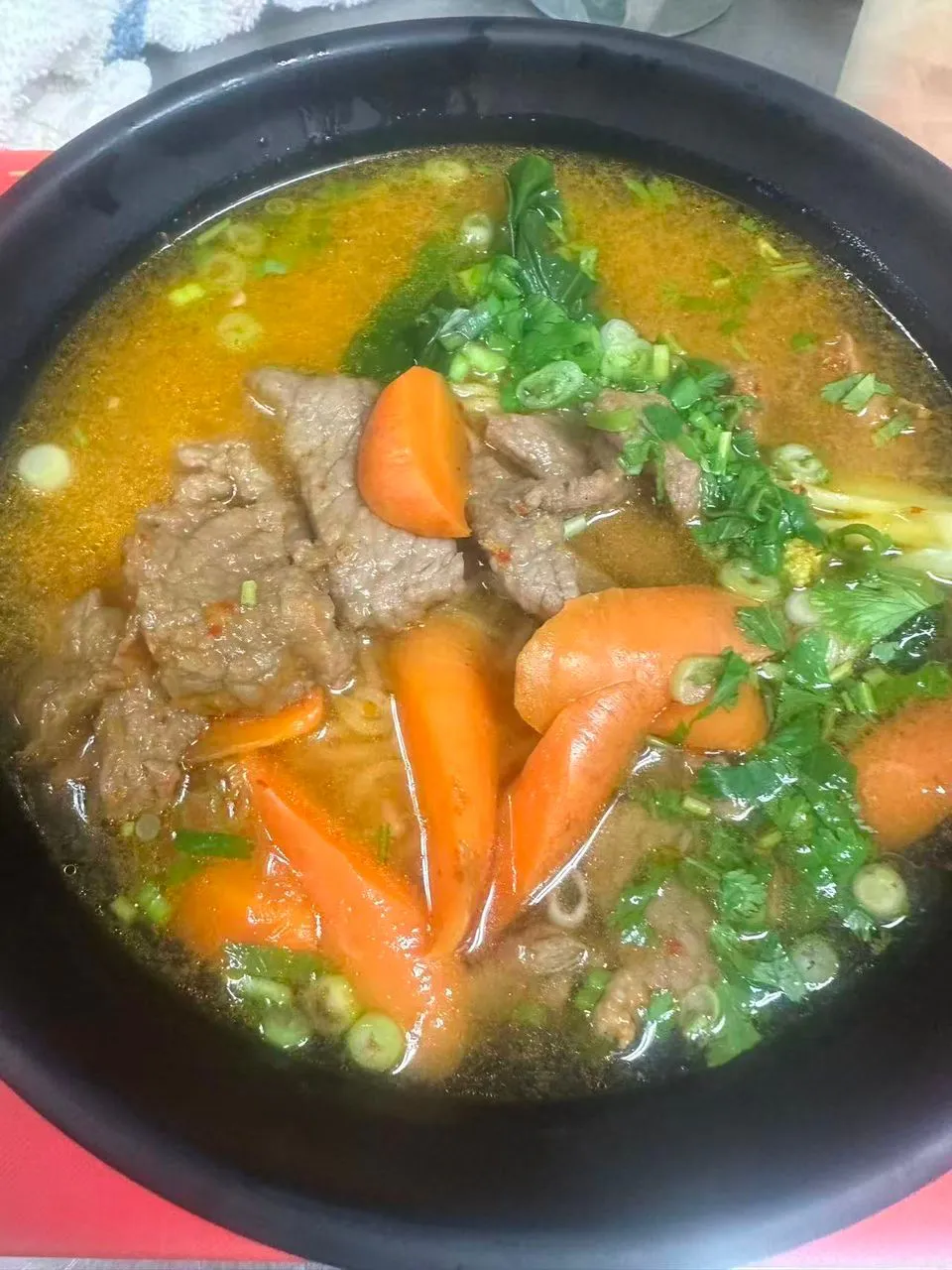 Beef and carrot stew with greens and scallions in a savory broth